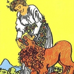 Foto/