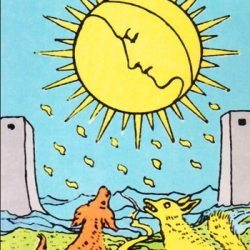 Foto/