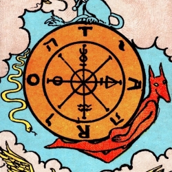 Foto/